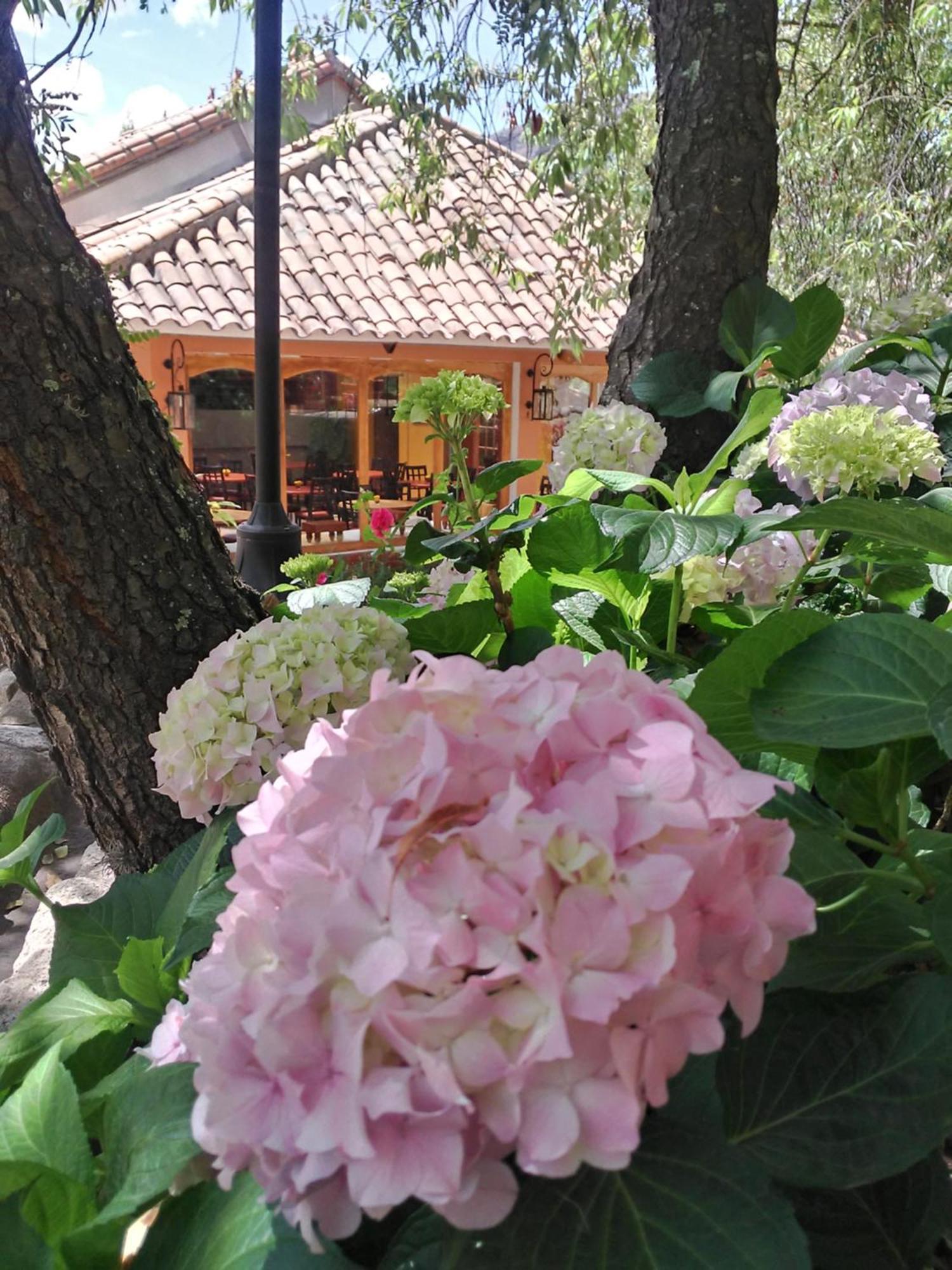 Hotel Pisonay Pueblo Urubamba Buitenkant foto